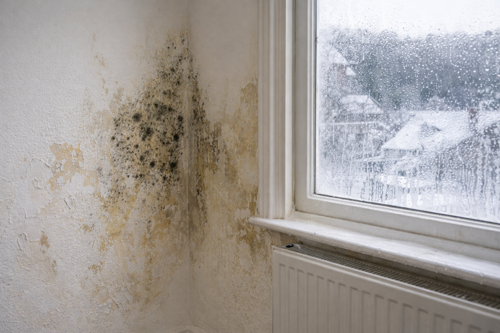 Interior wall showing damp damage and mould caused by winter condensation, with peeling paint near a window and radiator. Moisture on the glass highlights how cold weather and poor ventilation can damage paintwork in older homes.