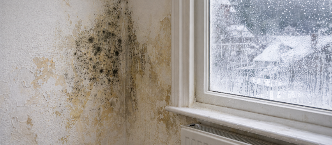 How Winter Damp and Condensation Damage Paintwork